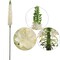 Set of 2 Cream Silk Foxtail Sprays 47" for Floral Arrangements, Centerpieces, and Home Decor - Lifelike Artificial Foliage by Floral Home by Artificial Flowers